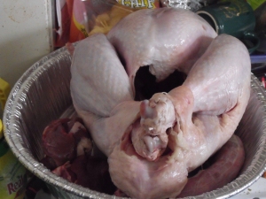 An undressed turkey